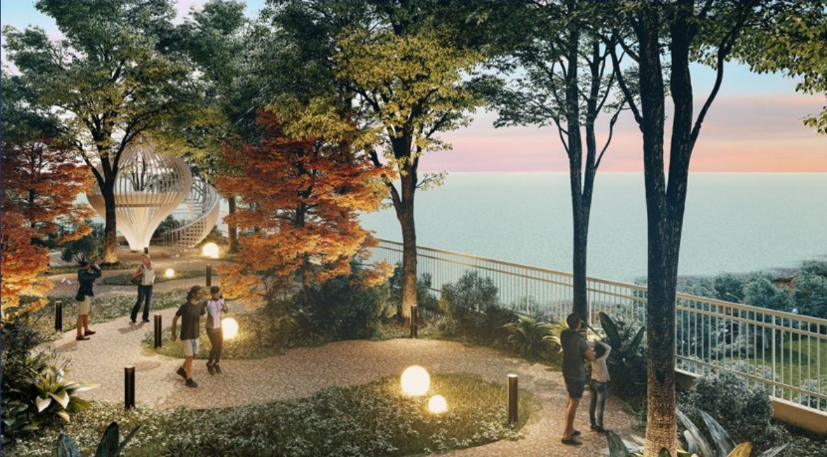 The Pier — Forest walk